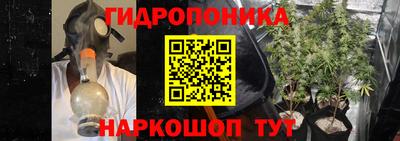 крисы Прокопьевск