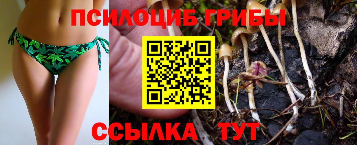 Астрахань  Галлюциногенные грибы GOLDEN TEACHER  Вход с VPN 